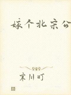 嫁个北宋公务员