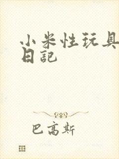 小米性玩具羞辱日记封面