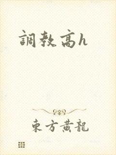 调教高h