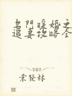 名门暖婚之权爷追妻攻略全文免费阅读