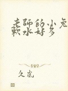 老师的小兔子好软水好多