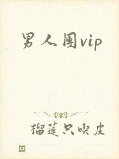 男人团vip
