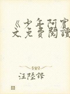 《少年阿宾》全文免费阅读封面