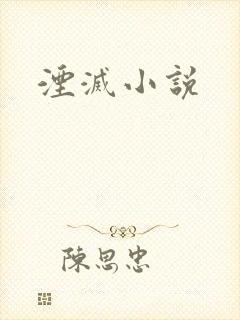 湮灭小说