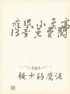 催眠小柔高达第13章免费阅读