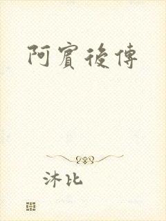 阿宾后传