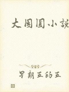 大团圆小说