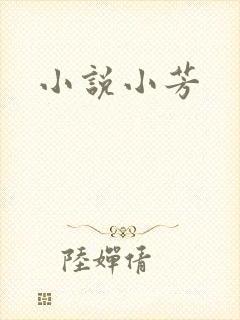 小说小芳