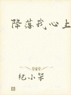 降落我心上
