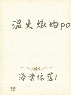 温火炖肉pop封面