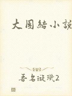 大团结小说全文封面