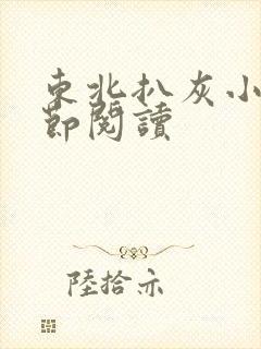 东北扒灰小说分节阅读