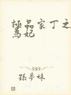 极品家丁之册母为妃