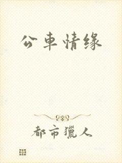 公车情缘