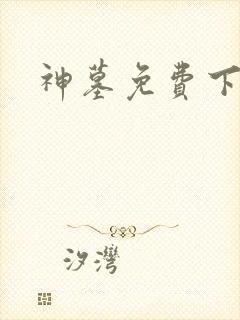 神墓免费下载