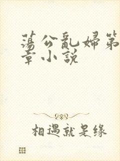 荡公乱妇第51章小说封面