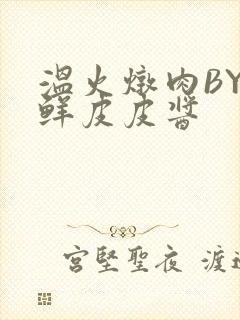 温火炖肉BY海鲜皮皮酱