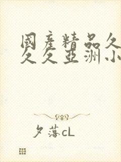 国产精品久久久久久亚洲小说