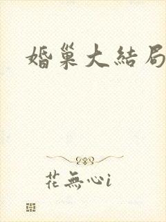 婚巢大结局封面