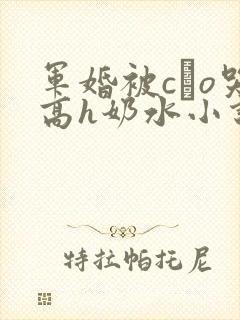 军婚被cαo哭高h奶水小说封面