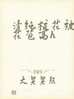 清纯校花被迫开花苞高h