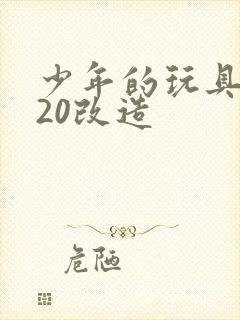 少年的玩具1一20改造