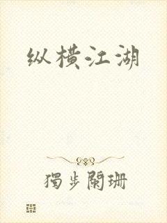 纵横江湖