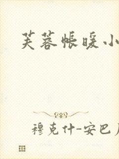 芙蓉帐暖小说