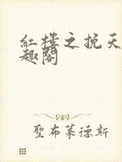 红楼之挽天倾笔趣阁