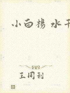 小白杨 水千丞封面