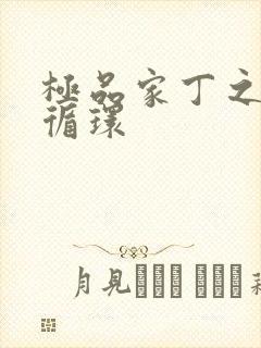 极品家丁之因果循环