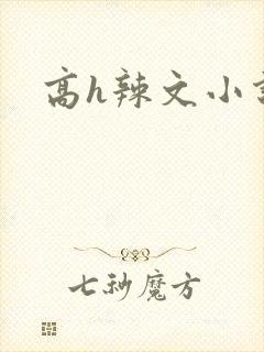 高h辣文小说
