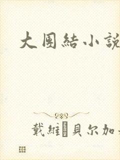 大团结小说全文封面