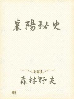 襄阳秘史