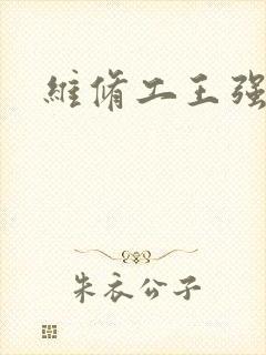 维修工王强张婷封面