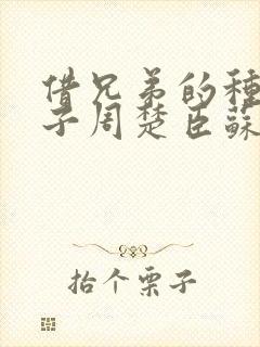 借兄弟的种生孩子周楚臣苏糖