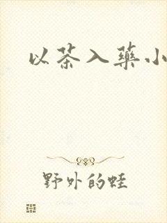 以茶入药小说封面