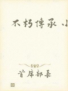 不朽传承 小说
