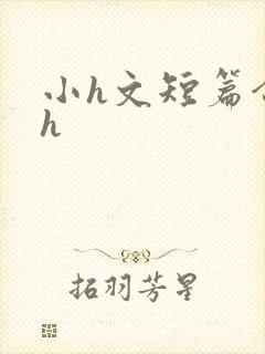 小h文短篇合集h封面