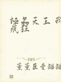 极品天王 我本疯狂