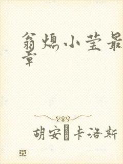 翁熄小莹最新节章封面