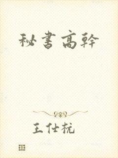 秘书高干封面