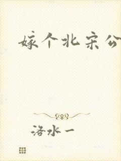 嫁个北宋公务员封面