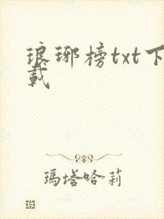 琅琊榜txt下载
