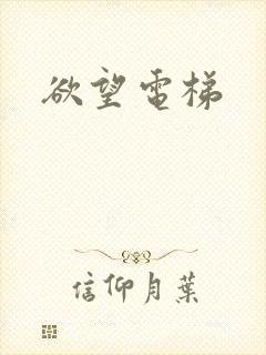 欲望电梯