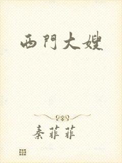 西门大嫂封面
