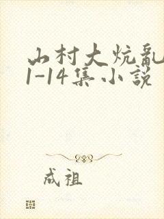 山村大炕乱肉续1-14集小说封面