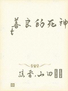 善良的死神txt
