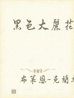 黑色大丽花图片