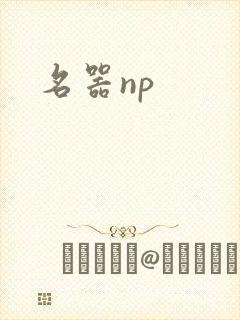 名器np封面